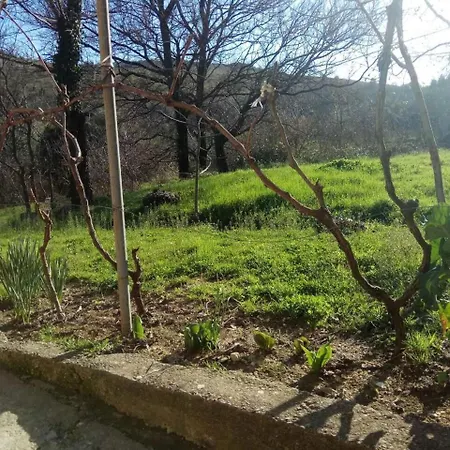 Holiday Peace And Love - Two-bedroom With Terrace And Garden View